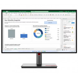 Lenovo ThinkVision P27h-30 LCD IPS/PLS 27" 2560 x 1440 4ms 350nitů 1000:1 60Hz   Pivot USB-C  Černá 