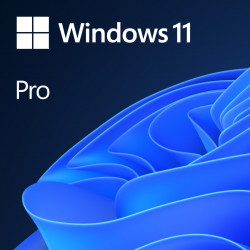 Microsoft Windows 11 Pro, OEM GGK (Get Genuine Kit) legalizace , 64-bit, česky (CZ), DVD