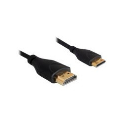 Delock High Speed HDMI with Ethernet - Kabel HDMI s ethernetem - HDMI s piny (male) do mini HDMI s piny (male) - 1 m