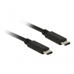 Delock - USB kabel - USB-C (M) do USB-C (M) - USB 2.0 - 1 m - černá
