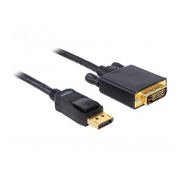 Delock - Kabel DVI - DisplayPort (M) do DVI-D (M) - 2 m - křídlové šrouby