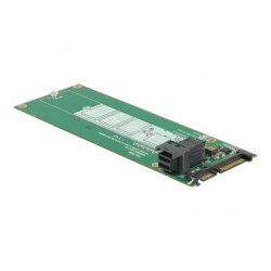 Delock Converter SATA 22 pin SFF-8643 NVMe  1 x M.2 NGFF Key M - Adaptér rozhraní - M.2 - M.2 Card - SAS 6Gb s, SATA 6Gb s