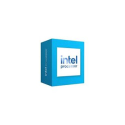 Intel® Processor 300 3.9Ghz 2core 6MB LGA1700 Graphics Raptor Lake Refresh