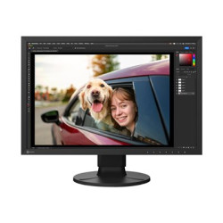 EIZO ColorEdge CS2400R LCD IPS/PLS 24,1" 1920 x 1200 14ms 300nitů 1000:1 60Hz Dotyk  Pivot USB-C  Černá 