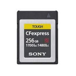 Sony CFexpress paměťová karta CEBG256, 256GB