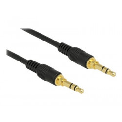 Delock - Audio kabel - stereo mini jack s piny (male) do stereo mini jack s piny (male) - 2 m - černá