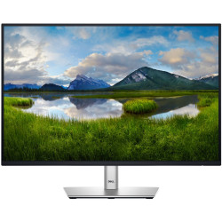 Dell P2425 LCD IPS/PLS 24,07" 1900x1200 5ms 300nitů 1500:1 100Hz   Pivot USB-C  Černá 