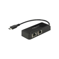 Delock Adapter USB-C 3.1 Gen 1  2 x Gigabit LAN 10 100 1000 Mb s - Síťový adaptér - USB 3.1 Gen 1 - Gigabit Ethernet x 2 - černá