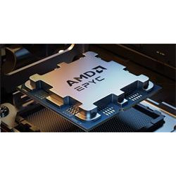 AMD CPU EPYC 4004 Series 12C 24T Model 4464P Raphael (3.7 5.4GHz Max Boost, 64MB, 65W, AM5) 