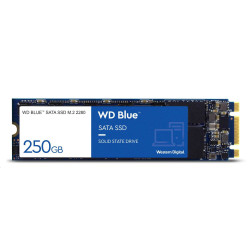 WD BLUE SSD 3D NAND WDS250G3B0B 250GB SA510 M.2 SATA, (R:555, W:440MB s)