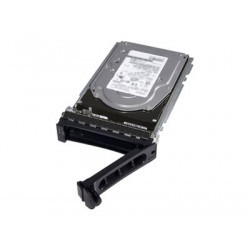 Dell - Pevný disk - šifrovaný - 2.4 TB - hot-swap - 2.5" (v nosiči 3,5") - SAS 12Gb s - 10000 ot min. - FIPS - Self-Encrypting Drive (SED) - pro PowerEdge C6420, R440, R540, R640, R6415, R740, R740xd (2.5"), R7415 (2.5"), R7425 (2.5")