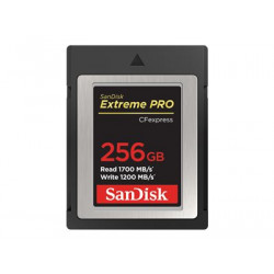 SanDisk Extreme Pro - Paměťová karta flash - 256 GB - CFexpress