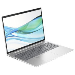 HP ProBook 465 G11 16" R5-7535U 16 GB 512 GB AMD Radeon 660M Graphics Windows 11 Pro Stříbrná