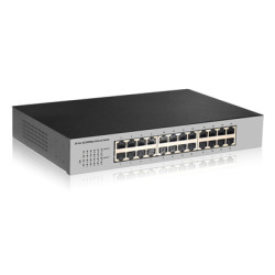 DIGITUS Professional Fast Ethernet N-Way 24-port switch