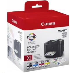 INK CARTRIDGES PGI-2500XL BK C M Y MULTI NON-BLISTERED PRODUCTS W O S, ECURITY