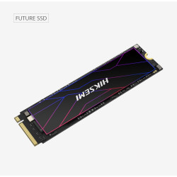 HIKSEMI SSD FUTURE 2048GB, M.2 2280, PCIe Gen4x4, R7450 W6750