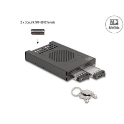 Delock 3.5” Mobilní rack pro 2 x SSD M.2 NVMe s konektorem OcuLink SFF-8612