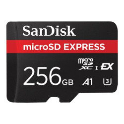 Express microSD Card 256GB 880MB s Read