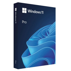 Microsoft Windows 11 Pro, FPP (Full Packaged Product), 64-bit, slovensky (SK), USB Flash Drive