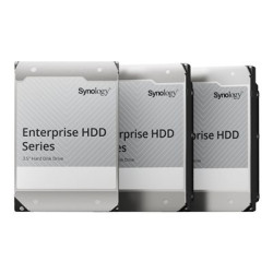 Synology HAT5310 - Pevný disk - 18 TB - interní - 3.5" - SATA 6Gb s - 7200 ot min. - vyrovnávací paměť: 512 MB - pro RackStation RS1619xs+, RS3621xs+, RS4021xs+