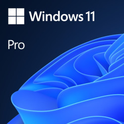 Microsoft Windows 11 Pro, ESD (Electronic Software Distribution), 64-bitů - všechny jazyky