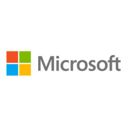 Microsoft Surface Pro 11 - U7 - 32 GB/256 GB - Platinová
