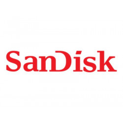 SanDisk Ultra - Paměťová karta flash - 256 GB - Class 10 - microSDXC UHS-I