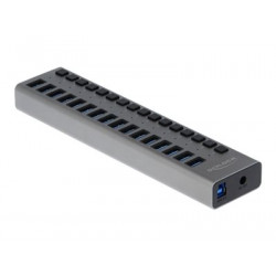 Delock - Rozbočovač - 16 x SuperSpeed USB 3.0 - desktop