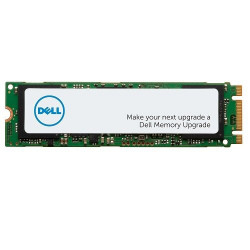 Dell 1TB SSD M.2 PCIe NVME Class 40 2280, pro Precision 3450 3650