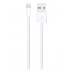 Apple Lightning to USB Cable (1m)