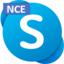 Microsoft Skype for Business Server Standard 2019 User CAL (Commercial Perpetual OneTime )
