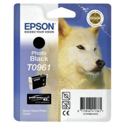 Epson inkoustová náplň C13T09614010 Stylus 2880 Foto