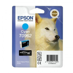 Epson inkoustová náplň C13T09624010 Stylus 2880 Modrá