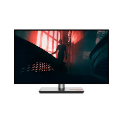 Lenovo ThinkVision P27h-30 27" IPS QHD 60Hz 6ms Black 3R