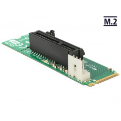 Delock Adapter M.2 NGFF Key M male  PCI Express x4 Slot 