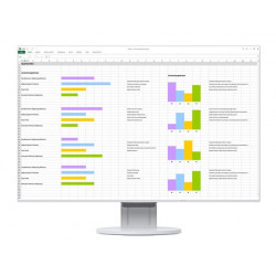 EIZO EV2456 LCD IPS 24,1", 1920 x 1200, 5 ms, 350 cd, 1 000:1, 60 Hz  (EV2456-WT)