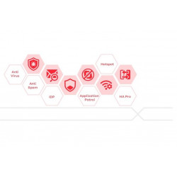 LIC-SECRP, 2 YR SecuReporter Premium, 2 year Log Retention for VPN 40(W) 60(W) 110 210 310, ZyWALL 110 310, USG FLEX 100(W) 200 50