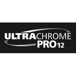 Singlepack Light Black T44Q740 UltraChrome PRO 12 350ml