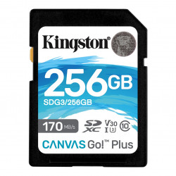 256GB SDXC Kingston U3 V30 170 90MB s