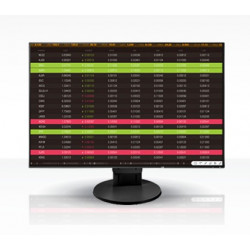 EIZO EV2456 LCD IPS 24,1", 1920 x 1200, 5 ms, 350 cd, 1 000:1, 60 Hz  (EV2456-BK)