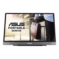 ASUS ZenScreen MB14AC 14" IPS FHD 60Hz 5ms Gray 3R