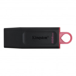 Kingston DataTraveler Exodia 256GB USB 3.2 USB-A Růžová